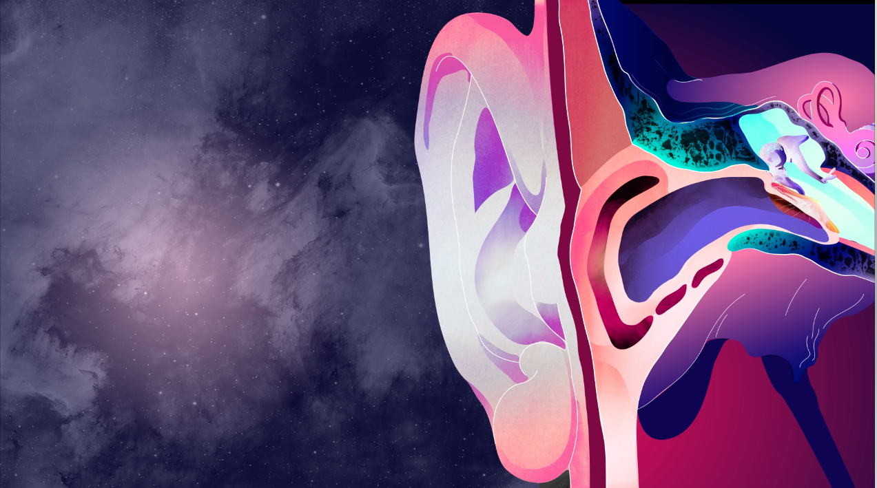 Motion design